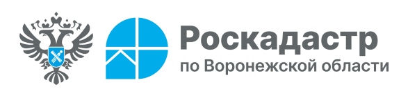 Тонкости межевания земельных участков.