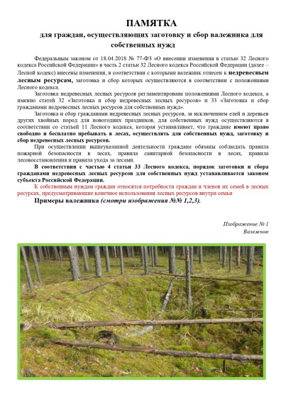 ПАМЯТКА для граждан, осуществляющих заготовку и сбор валежника для собственных нужд. ПАМЯТКА для граждан, осуществляющих заготовку и сбор валежника для собственных нужд.